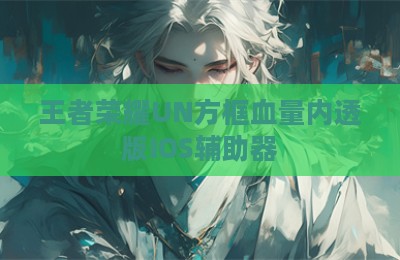 王者荣耀UN方框血量内透版IOS辅助器