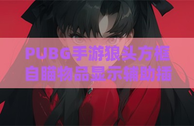 PUBG手游狼头方框自瞄物品显示辅助插件