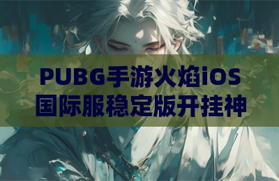PUBG手游火焰iOS国际服稳定版开挂神器
