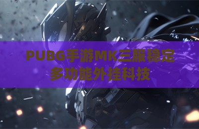 PUBG手游MK三服稳定多功能外挂科技