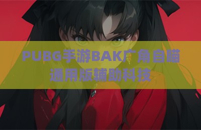 PUBG手游BAK广角自瞄通用版辅助科技