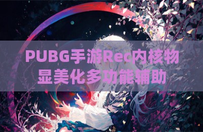 PUBG手游Rec内核物显美化多功能辅助