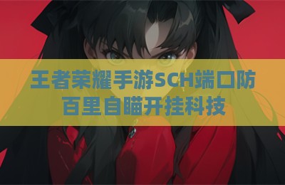 王者荣耀手游SCH端口防百里自瞄开挂科技