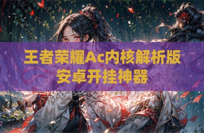 王者荣耀Ac内核解析版安卓开挂神器