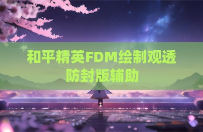 和平精英FDM绘制观透防封版辅助