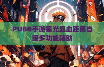 PUBG手游星光显血距离自瞄多功能辅助