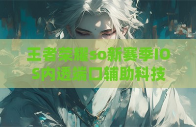 王者荣耀so新赛季IOS内透端口辅助科技