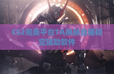 CS2完美平台TA换肤自瞄稳定辅助软件