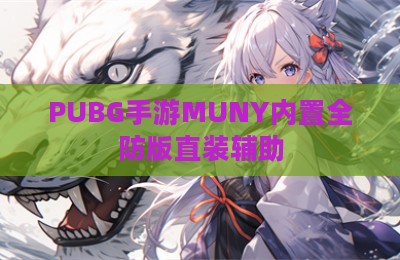 PUBG手游MUNY内置全防版直装辅助