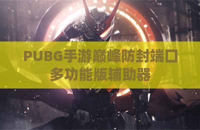 PUBG手游巅峰防封端囗多功能版辅助器
