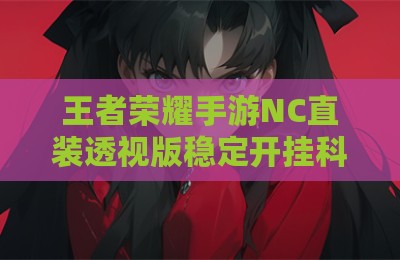 王者荣耀手游NC直装透视版稳定开挂科技