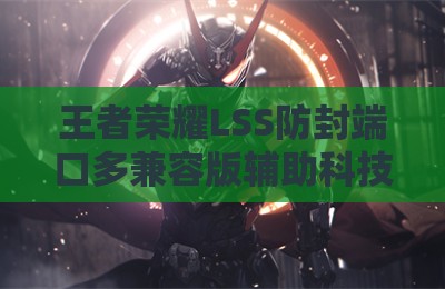 王者荣耀LSS防封端口多兼容版辅助科技