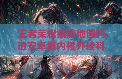 王者荣耀痕迹地图内透安卓版内核外挂科技