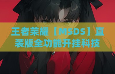 王者荣耀【MSDS】直装版全功能开挂科技