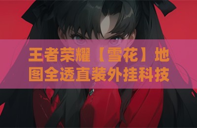 王者荣耀【雪花】地图全透直装外挂科技