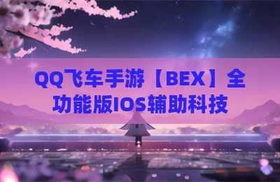 QQ飞车手游【BEX】全功能版IOS辅助科技