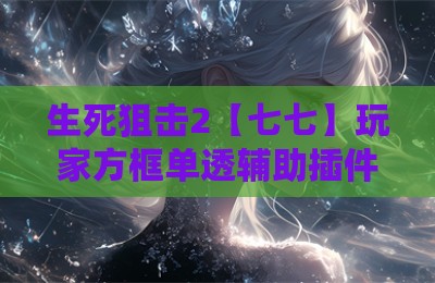 生死狙击2【七七】玩家方框单透辅助插件