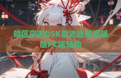 暗区突围DSK雷达透瞄增强版PC端辅助
