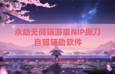 永劫无间端游版NIP振刀自瞄辅助软件