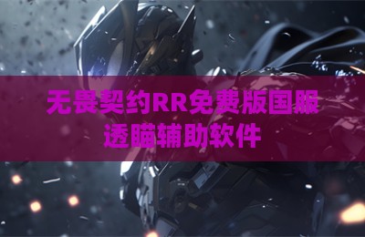 无畏契约RR免费版国服透瞄辅助软件