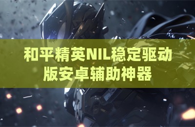 和平精英NIL稳定驱动版安卓辅助神器