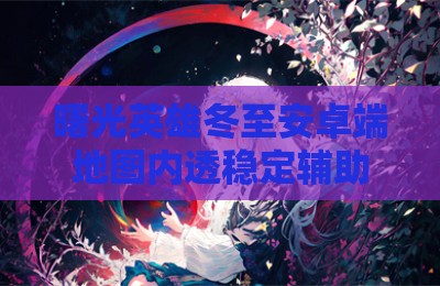 曙光英雄冬至安卓端地图内透稳定辅助