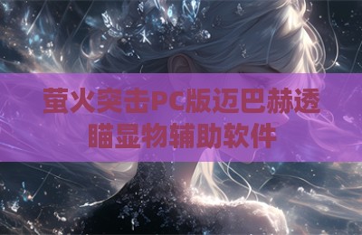 萤火突击PC版迈巴赫透瞄显物辅助软件