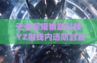 王者荣耀辅助科技-YZ射线内透防封直装版V4.1