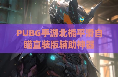 PUBG手游北栀平滑自瞄直装版辅助神器