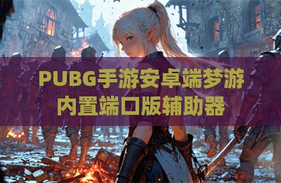 PUBG手游安卓端梦游内置端口版辅助器