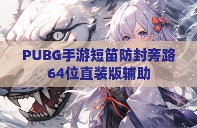 PUBG手游短笛防封旁路64位直装版辅助