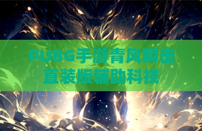 PUBG手游青风瞬击直装版辅助科技