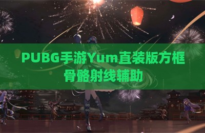 PUBG手游Yum直装版方框骨骼射线辅助
