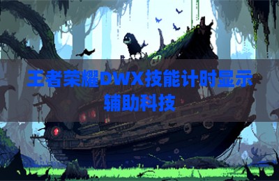 王者荣耀DWX技能计时显示辅助科技