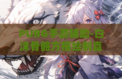 PUBG手游辅助-白沫骨骼方框绘制直装版V3.28