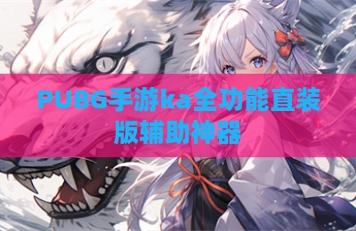 PUBG手游ka全功能直装版辅助神器
