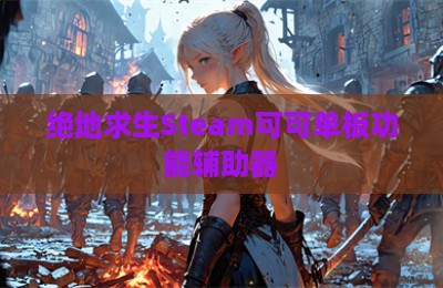 绝地求生Steam可可单板功能辅助器