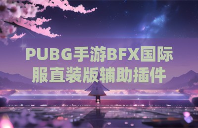 PUBG手游BFX国际服直装版辅助插件