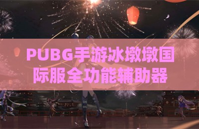 PUBG手游冰墩墩国际服全功能辅助器