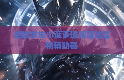 绝地求生小菠萝透视雷达显物辅助器