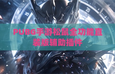 PUBG手游松鼠全功能直装版辅助插件