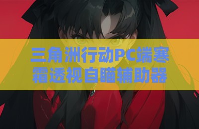 三角洲行动PC端寒霜透视自瞄辅助器