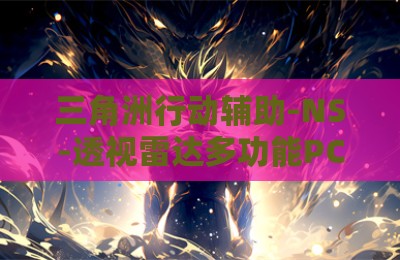 三角洲行动辅助-NS-透视雷达多功能PC版