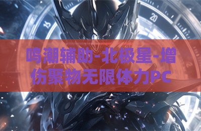 鸣潮辅助-北极星-增伤聚物无限体力PC版