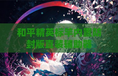 和平精英标竿内置防封版直装辅助器