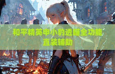 和平精英申小豹透瞄全功能直装辅助