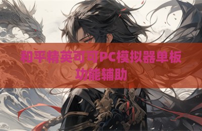 和平精英可可PC模拟器单板功能辅助