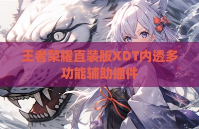 王者荣耀直装版XDT内透多功能辅助插件