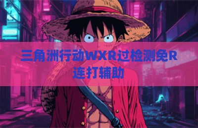 三角洲行动WXR过检测免R连打辅助