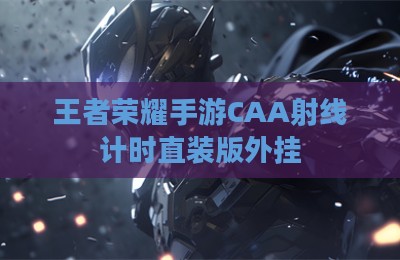 王者荣耀手游CAA射线计时直装版外挂